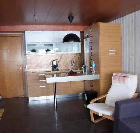 Apartment Loft